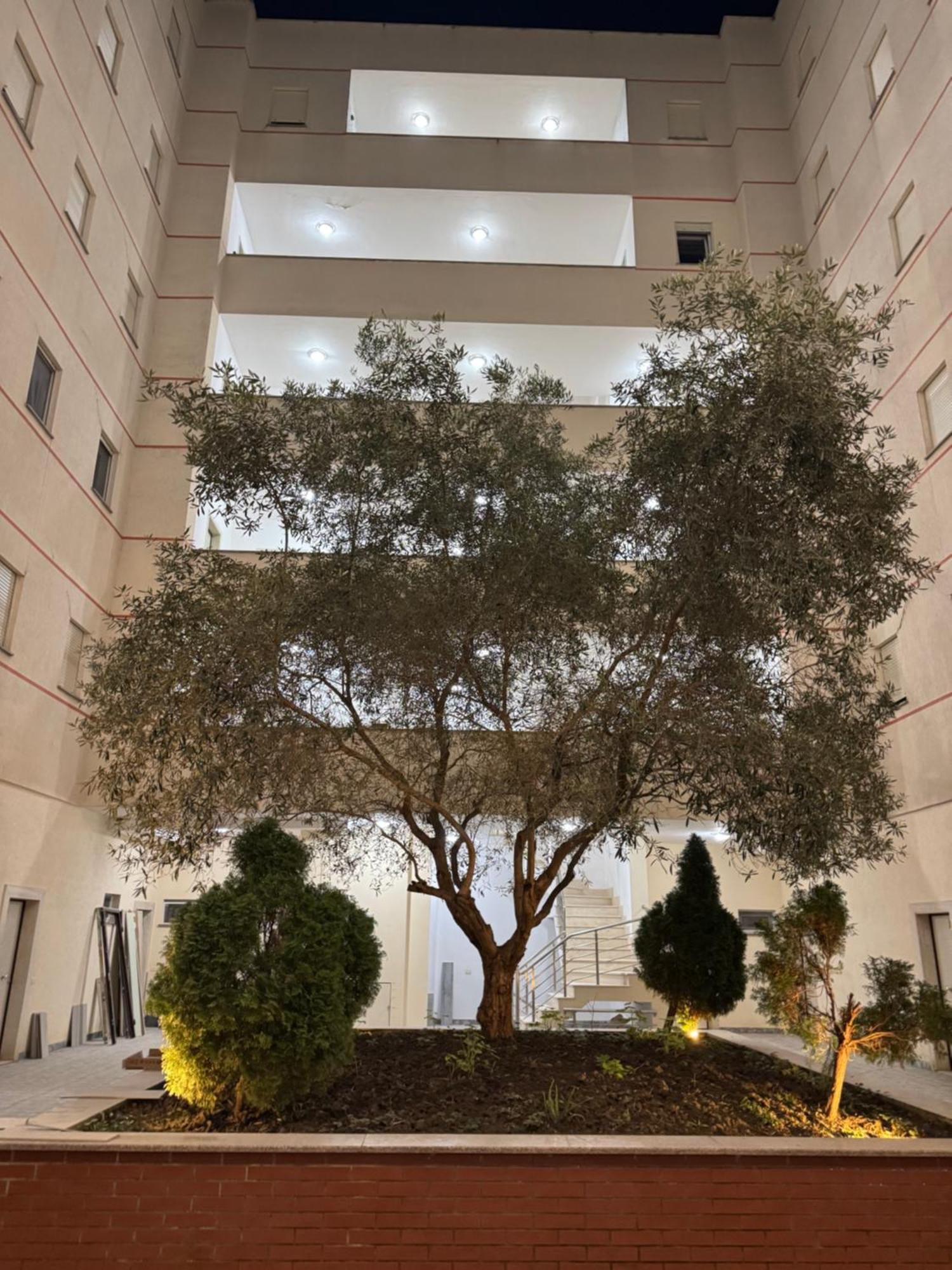 Relax Apartments Golem Golem  Luaran gambar
